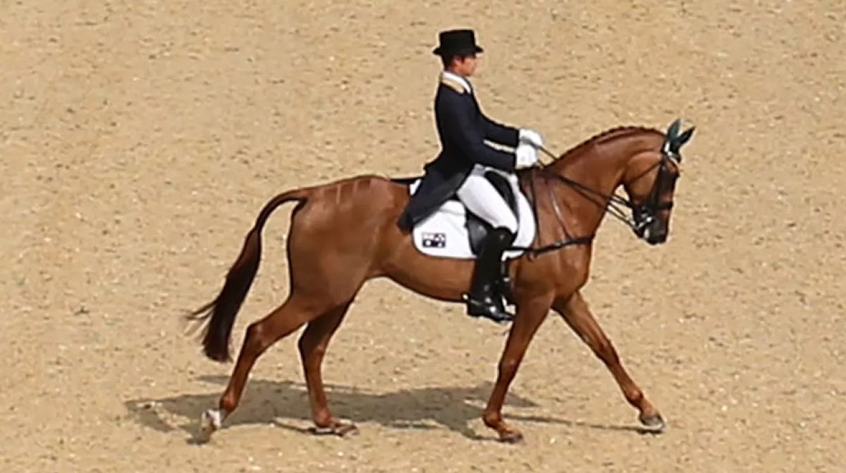 Dressage combinations announced for nomination trials